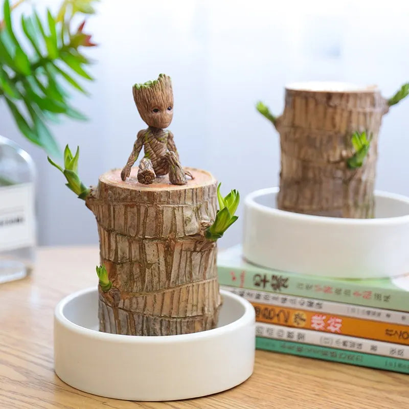 Sky Terrarium™ Lucky Wood